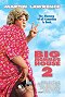 Big Mommas House 2